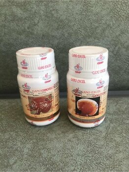 GanoExcel Ganoderma Excellium 90 1 Kutu _ 1 Kutu Ganoderma Kapsül