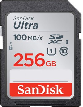 SanDisk Ultra 256 GB SDSDUNR-256G-GN6IN Class 10 SD Kart