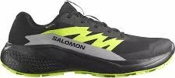 Salomon Alphaglıde Gore-tex Black/alloy/sharp Green Erk Patika Koşusu Ayakkabısı L47802000 44 Numara