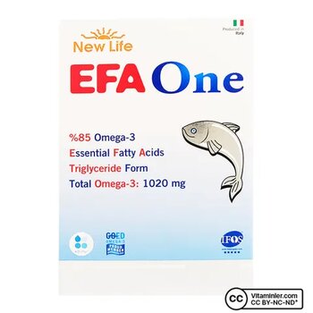 New Life EFA One Omega-3 2x45 Kapsül Balık Yağı