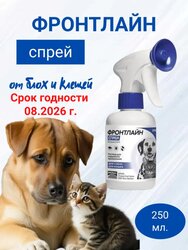 Основная фотография от вендора