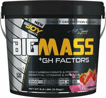 Bigjoy Bigmass Gainer Gh Factors Strawberry 3 Kg Toz