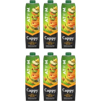 Cappy Atom Meyve Suyu 1 lt x 6 Adet