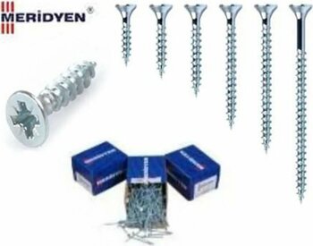 Meridyen Sunta Vidası 4x30 (50 Adet)