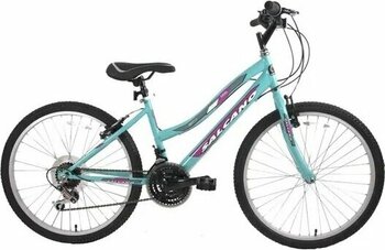 Salcano Excel 26 Lady Turkuaz Pembe Dağ Bisikleti