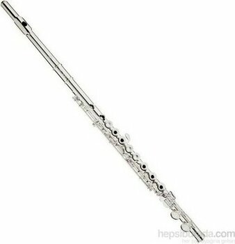 Bonson F002 Gümüş Yan Flüt