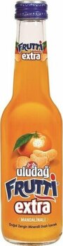 Uludağ Frutti Extra Mandalina 250 Ml