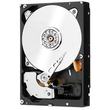 Western Digital 4TB WD4001FFSX Sabit Disk