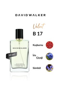 David Walker B17 Hollywood 50 ml Kadın Parfüm | Velvet