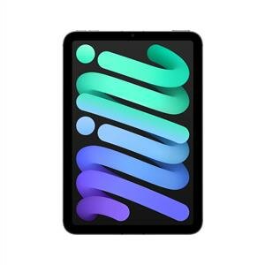Ipad Mini 512Gb Wıfı+ Cellular 8.3Liquid Retina Ekran İpados Tablet Purple