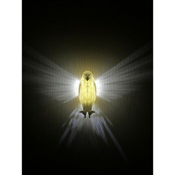 Kartal Aplik Duvar Lambası Gece Lambası - Pilli - 6500K - Beyaz - Seçenek 1