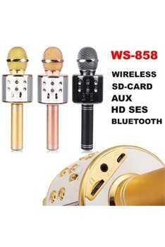 Pazariz Wster Ws-858 Karaoke Mikrofon
