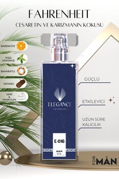 silver elegance vip perfume Fahrenheit Edp 50 ml – Odunsu ve Baharatlı Erkek Parfümü (E-016)