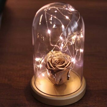 By Lamp Rose Solmayan Gül Işıklı Sevgiliye Hediye Fanus Lamba - Rose Gold