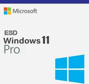 Microsoft FQC-10572 Windows 11 Pro TR-ENG ESD Elektronik Lisans