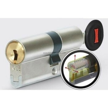 AlanSansli Kale 164 Cec Tüpten Şifreli Yüksek Güvenlikli Silindir Barel Direk Kale Kilit Bayisinden