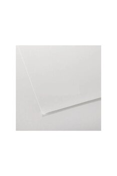 Canson Teknik Resim Kağıdı 35x50 Cm 200 gr 1557 4121512 25 Li (1 Paket 25 Adet)