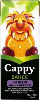 Cappy Meyve Suyu Karışık 200 Ml