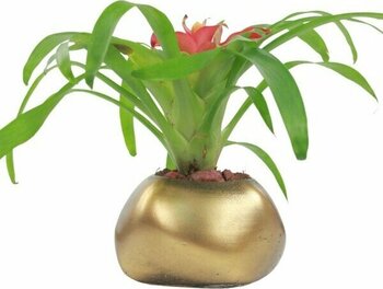 Evene Saksı Çiçek Kaktüs Saksısı Lüx 14 cm Elips Desen Saksı Çiçeklik - Gold