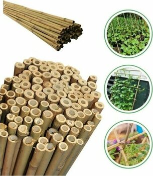 Doğa Fidancılık 20 Adet Bambu Bitki Fidan Destek Çubuğu 190 - 200 Cm - 1 Adet