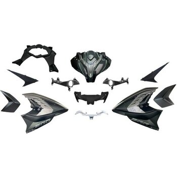 Bajaj Pulsar Rs 200 Kafa Grenaj Takımı Gri - Renkli