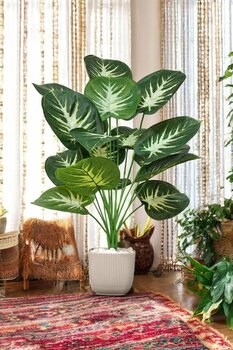 SY Vista Yapay Difenbahya - Salon Bitkisi 85-90 Cm