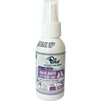 Polo Amor Amor Parfüm 100 ml