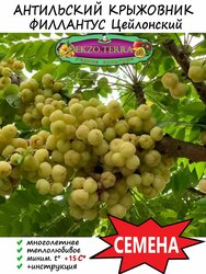 Основная фотография от вендора