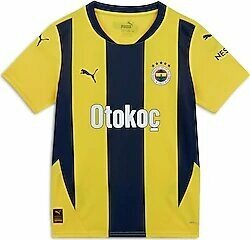 Puma 775364-01 2024/2025 İç Saha Çubuklu Fenerbahçe Çocuk Forması