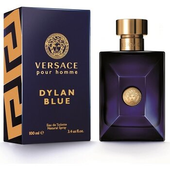 Versace Dylan Blue EDT 100 ml Erkek Parfüm Odunsu Turunçgil Çiçeksi Koku