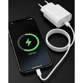 iPhone 14 13 12 Mini 11 Xr Xs x 20W Hızlı Şarj Adaptörü - Çok Renkli