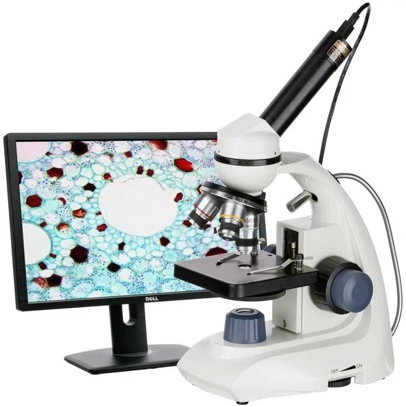 Amscope M170C-E 40X-1000X Çift LED Bileşik Mikroskop