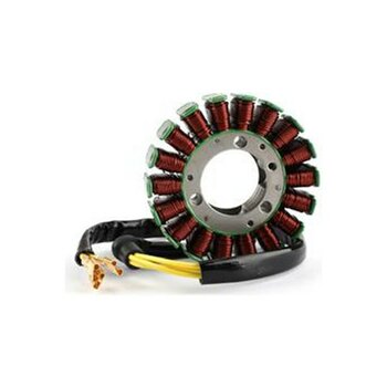 Işıklar Bajaj Pulsar 200ns Statör