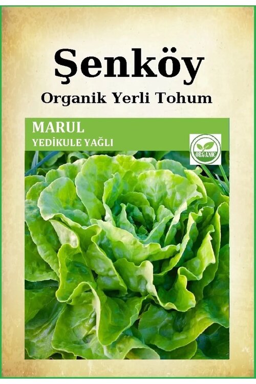 Şenköy Yerli Yedikule Marul Tohumu Doğal Ata Yedikule Yağlı 10 gr, 8000 adet Tohum