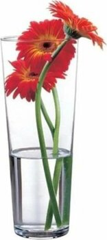 Paşabahçe 43177 Cam Vazo - Botanica Vazo 26 Cm.