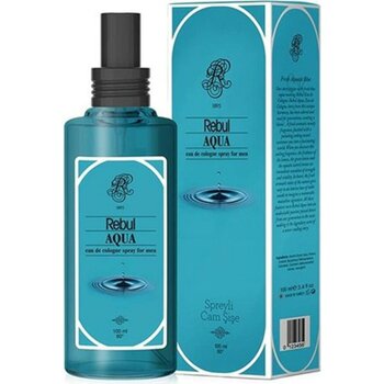 Rebul Aqua 100 ml Kolonya