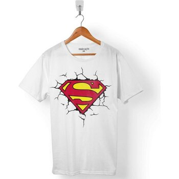 Kendim Seçtim Superman Super Man Logo 3 Boyutlu Erkek Tişört - 2XL - Beyaz - Renkli