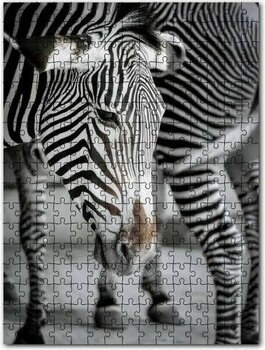Cakapuzzle Hüzünlü Zebra ve Burnundaki Leke 255 Parça Puzzle
