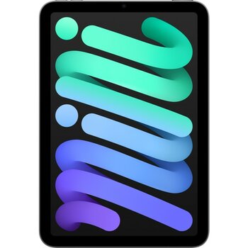 Apple iPad Mini 256GB 8.3" Wi-Fi Tablet Uzay Grisi MXNA3TU/A - 256 GB