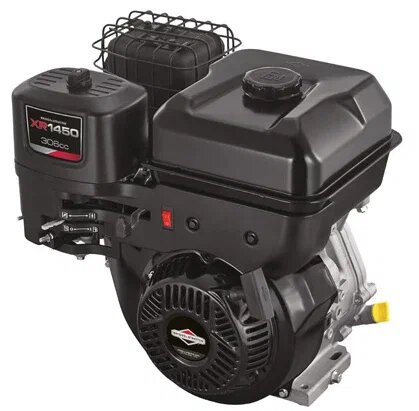 Briggs & Stratton XR1450 306 cm³ Benzinli 10 hp Motor