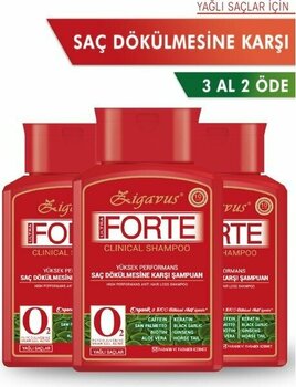 Seddar Collection Zigavus Forte Ultra Şampuan Yağlı Saçlar Için 300 ml - 3 Al 2 Öde