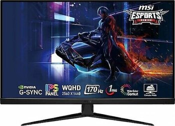 MSI G321Q 31.5 inç 2560 x 1440 2K Oyuncu Monitörü