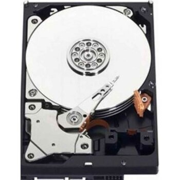 Area 1 Tb Seagate-Wd 3.5 Inç 7/24 7200RPM Kurumsal Güvenlik Harddiski