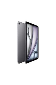 Apple 11 inç iPad Air M3 Wi-Fi + Cellular 1 TB Tablet Uzay Grisi (MCG84TU/A)