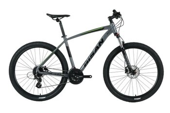 Bisan Mtx 7300 29 19-48 Hd Dağ Bisikleti Metalik Gri-Yeşil