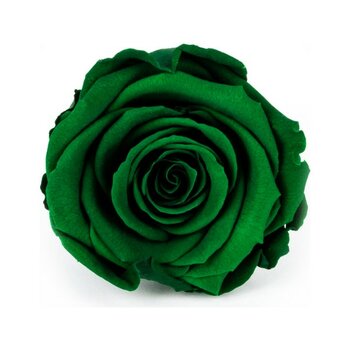 Çiçek Gönder Rose Amor Xl Solmayan Zümrüt Yeşil Gül - 1 Adet