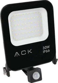 ACK AT62-23032 30W Led Projektör