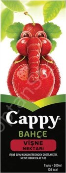 Cappy Vişne 200 Ml