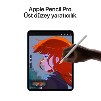 iPad Pro 13 inç WiFi + Cellular 256GB Standart Cam Gümüş ME7X4TU/A