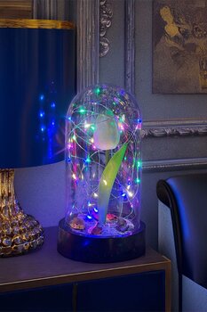 CelestiaSevgiliye Hediye Beyaz Lale Rgb Peri Ledli Fanus Lamba Usb'Li Yapay Çiçek Dekoratif Hediyelik
